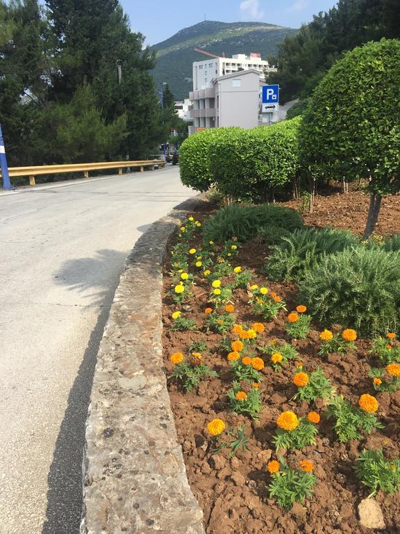 Apartment Bocca Neum Ngoại thất bức ảnh